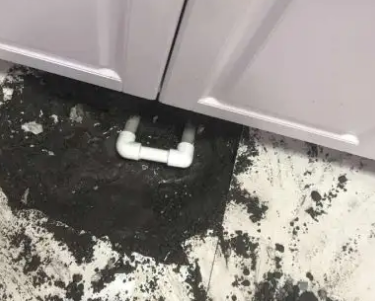 新安查漏水哪家好